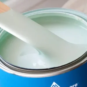 Wall Paints