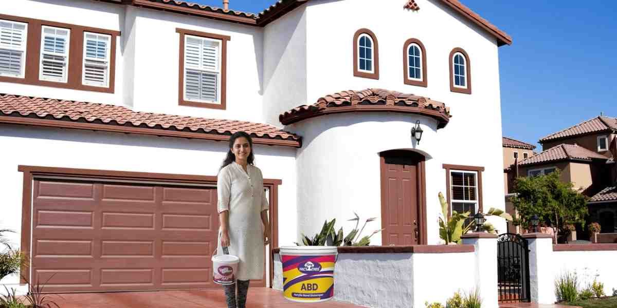 Best Distemper Under Rs. 350