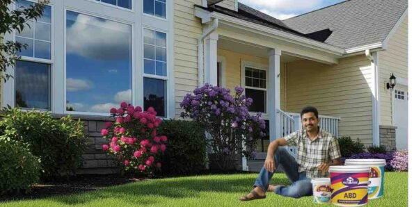 Best Distemper Under Rs. 350