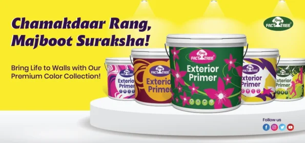 Top Distemper Paints from RangFacttree Pune