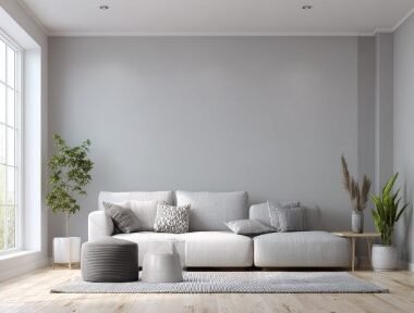 #1 Top Distemper Paints from RangFacttree Pune for Bright Home Walls