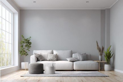 Top Distemper Paints from RangFacttree Pune