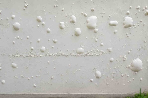 Wall Paint Bubbling